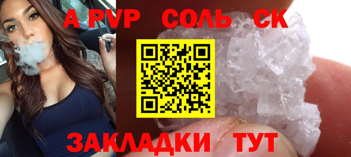 A PVP СК КРИС Асино