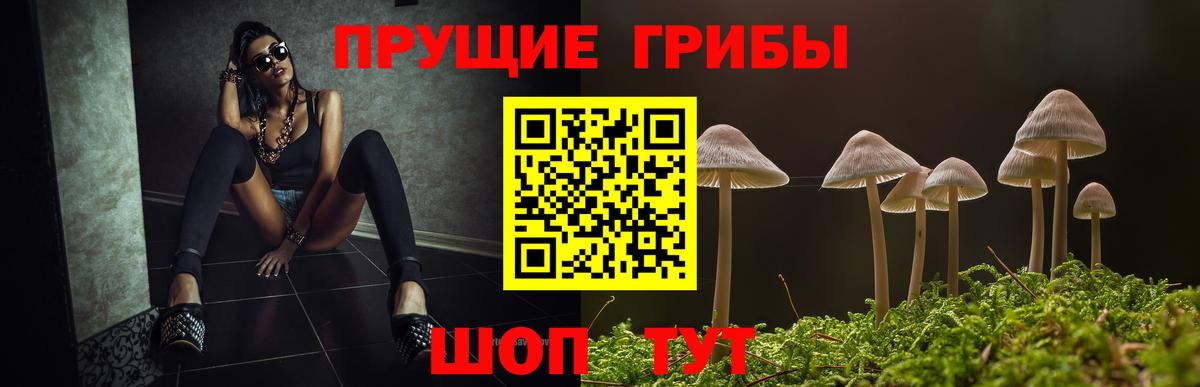 Псилоцибиновые грибы прущие грибы  Вход с VPN  Псилоцибиновые грибы мухоморы  Асино 